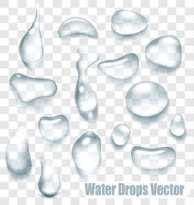 Big set of transparent drops of water. Vector.