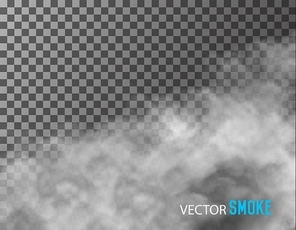 smoke vector on transparent .