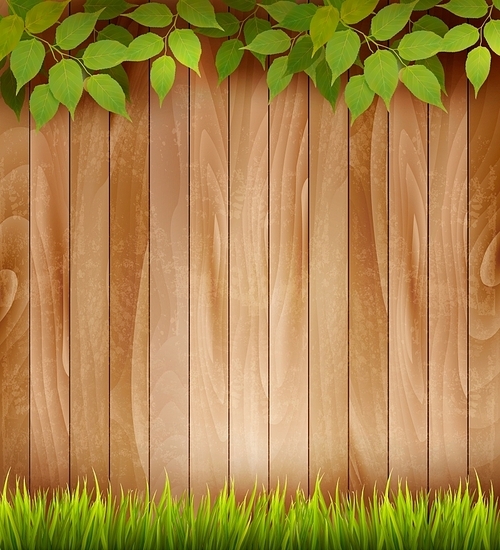 Natural wooden background with leaves and grass. Vector.