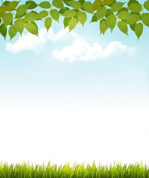 Nature background with leaves and grass. Vector.