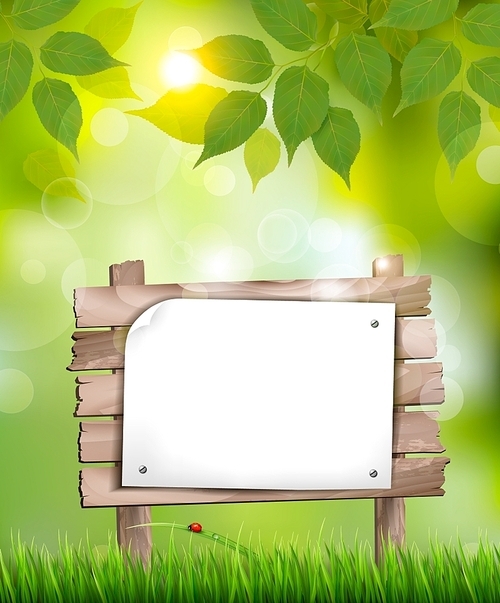 Natural background with leaves and a wooden sign. Vector.