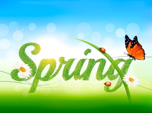 Spring background with grass, sky and a butterfly. Vector.