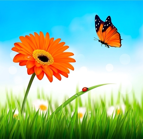 Spring background. Orange beautiful flower and a butterfly. Vector.