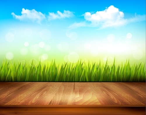 Wooden deck in front of green grass and blue sky background.