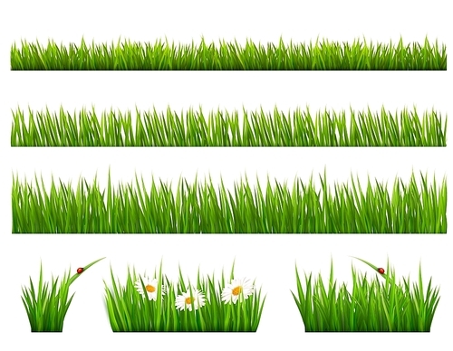 Big collection of green grass. Vector.