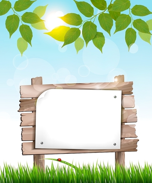 Natural background with leaves and a wooden sign. Vector.