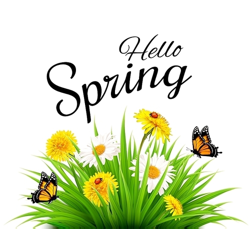 Spring background with grass, flowers and butterflies. Vector.