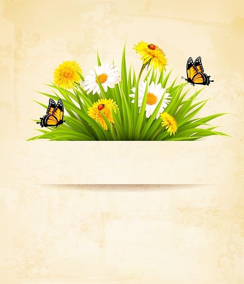 Grass with flowers on old paper background. Vector.