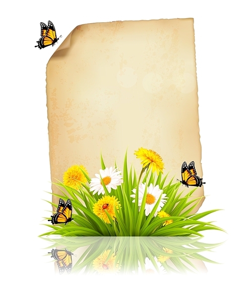 Old sheet of paper with spring flowers and butterflies. Vector.