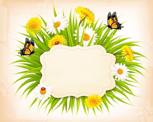 Spring banner with grass, flowers and butterflies. Vector.