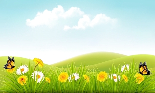 Summer nature background with grass and flowers and butterflies. Vector.