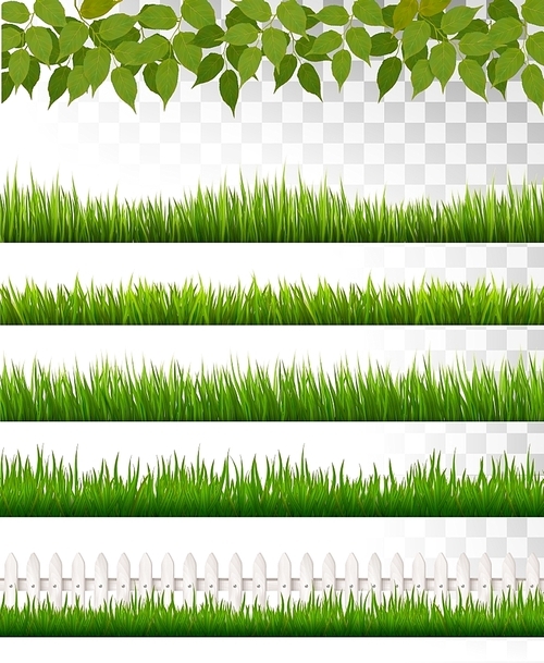 Several grass borders. Vector.