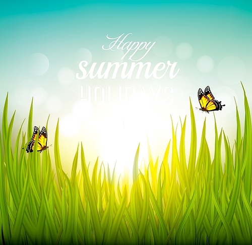 Beautiful summer background with grass and butterflies. Vector.