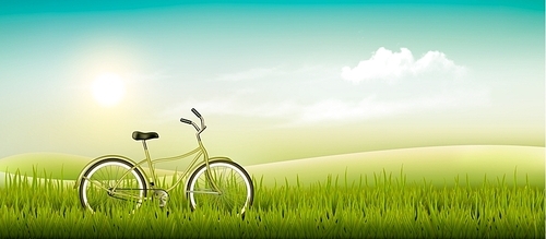 Summer meadow landscape with a bicycle. Vector.