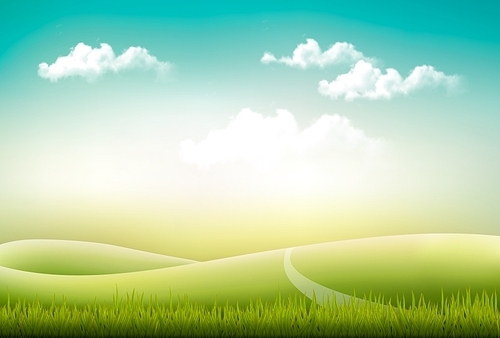 Beautiful summer countryside landscape background. Vector.