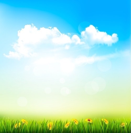 Spring Nature Background With A Green Grass And Blue Sky With Clouds. Vector.