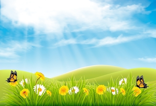 Spring nature landscape background with flowers and butterflies. Vector.