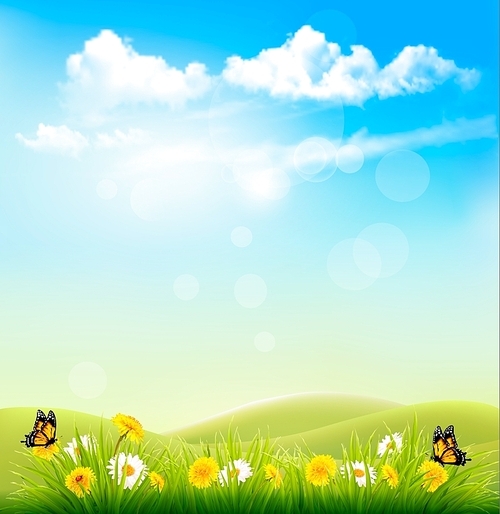 Spring Nature Background With A Green Grass And Blue Sky With Clouds. Vector.