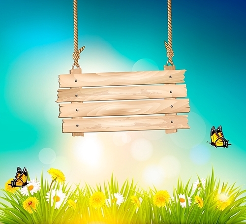 Summer nature background with green grass and wooden sign. Vector