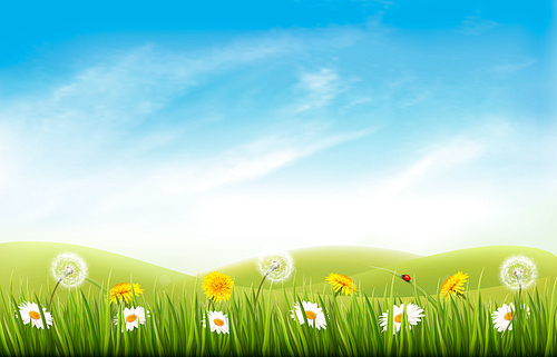 Nature background with grass and flowers and butterflies. Vector.