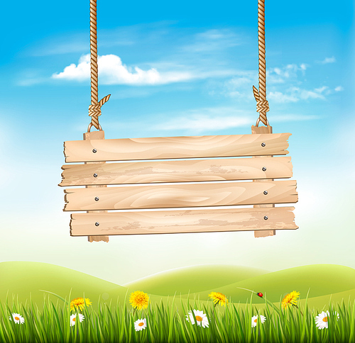 Spring nature background with grass and flowers and wooden sign. Vector.