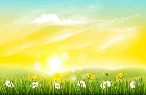 Spring nature background with grass and flowers. Vector.