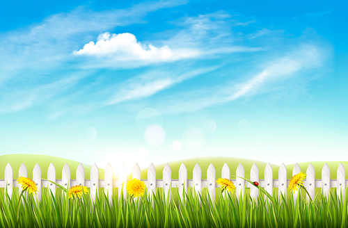 Nature background with green grass and french. Vector.