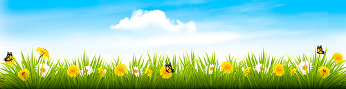 Spring nature landscape banner with flowers and butterflies. Vector.