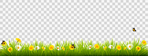 Summer nature landscape banner with flowers and butterflies. Vector.