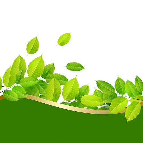 Spring nature banner with green leaves on a white background. Vector illustration.