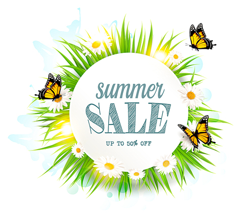 Summer sale background with grass, daisies and butterflies. Vector.