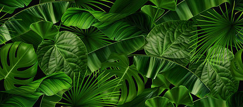 Jungle foliage seamless pattern, 3d vector realistic background