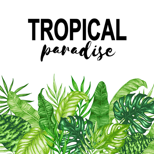 Tropical summer background with green palm leaves and lettering. Hand drawn vector illustration