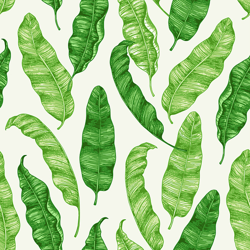 Tropical seamless pattern with green banana leaves. Hand drawn vintage vector background.