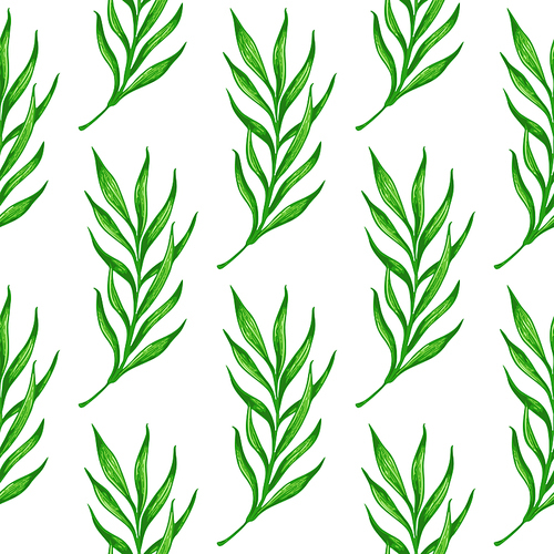 Tropical seamless pattern with green palm branch. Hand drawn summer vector background.