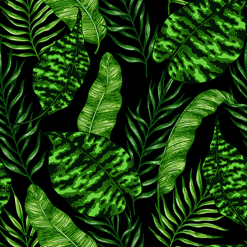 Tropical summer seamless pattern with green palm leaves on a black background. Hand drawn vector illustration