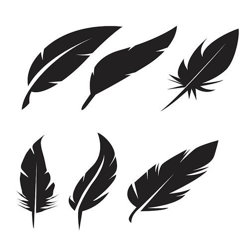 black feather icons set on white