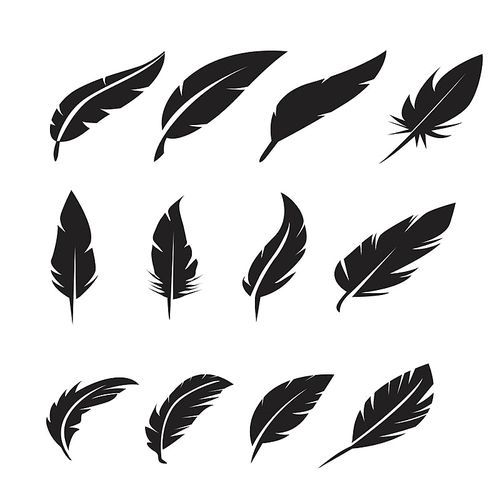 black feather icons set on white