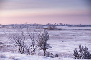 Winter Morning in Belarus. January near Minsk.