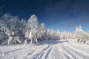 Sunny cold winter day in Belarus