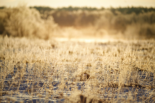 Snow and Sun