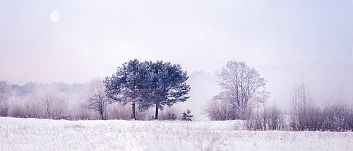 Cold winter morning with a moon