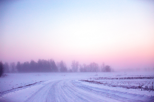 Snowy winter road in Belarus. Winter foggy morning.