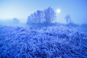 Moonlight winter misty night. Snow and frost on grass. Belarus