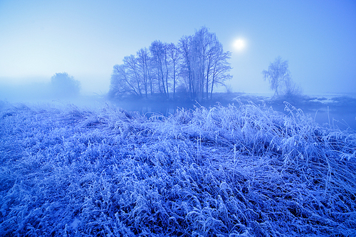 Moonlight winter misty night. Snow and frost on grass. Belarus
