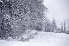 Snowfall and sleet on winter road. Ice snowy road. Winter snowstorm. Black ice and blizzard.