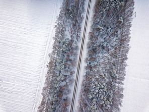 Road through the winter park. Aerial view landscape with fields and trees. Photography from a drone.
