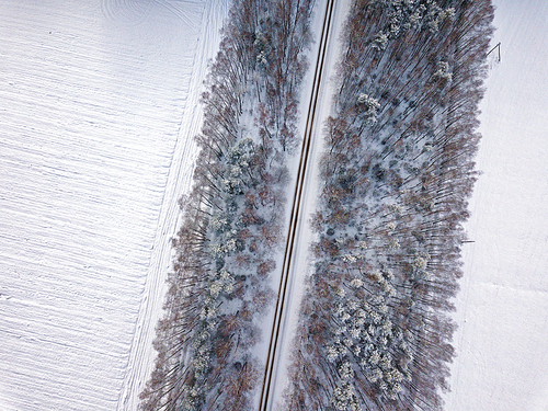 Road through the winter park. Aerial view landscape with fields and trees. Photography from a drone.