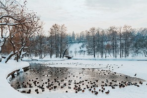 Processed with VSCO with c8 preset