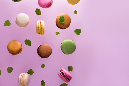 Assorted macaroons falling cookies with mint leaves on pink background with copy space